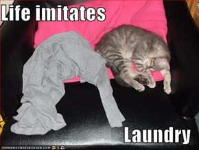 Life imitates  Laundry