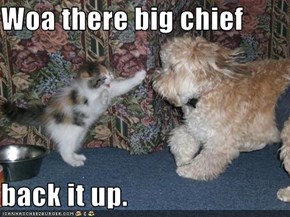 Woa there big chief  back it up.