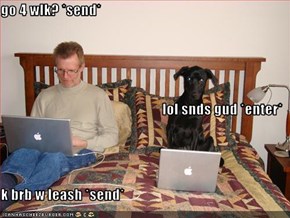 go 4 wlk? *send* lol snds gud *enter* k brb w leash *send*