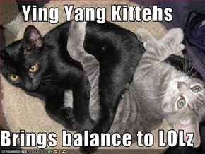 Ying Yang Kittehs  Brings balance to LOLz