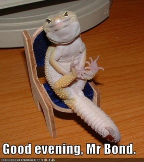Good evening, Mr Bond.