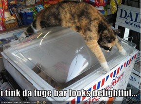 i tink da fuge bar looks delightful...