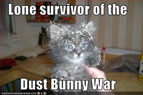 Lone survivor of the   Dust Bunny War