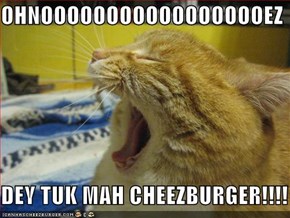 OHNOOOOOOOOOOOOOOOOOEZ  DEY TUK MAH CHEEZBURGER!!!!