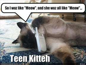 Teen Kitteh
