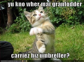 yu kno wher mai granfodder   carriez hiz umbreller?
