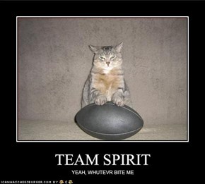 TEAM SPIRIT