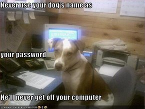 Never use your dog's name as  your password He'll never get off your computer