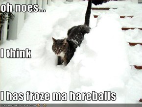 oh noes... I think I has froze ma hareballs