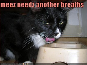 meez needz another breaths