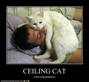 CEILING CAT
