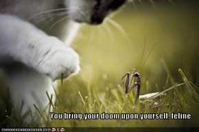 You bring your doom upon yourself, feline.