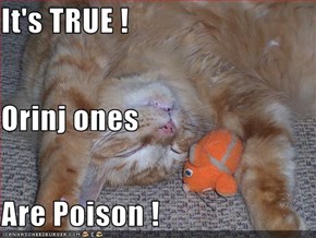 It's TRUE ! Orinj ones Are Poison !