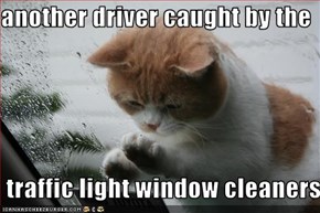 another driver caught by the   traffic light window cleaners