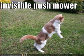 invisible push mower