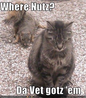 Where Nutz?  Da Vet gotz 'em