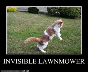 INVISIBLE LAWNMOWER