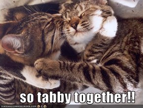 so tabby together!!