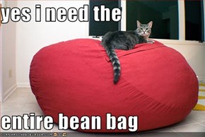 yes i need the  entire bean bag