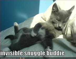 invisible snuggle buddie