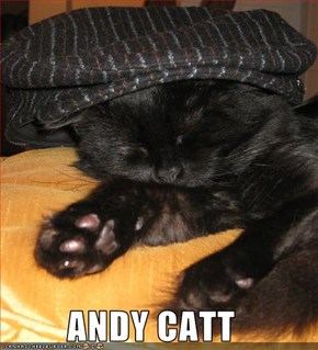 ANDY CATT