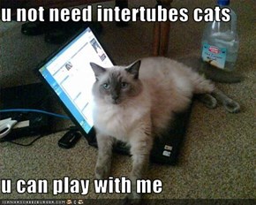 u not need intertubes cats  u can play with me