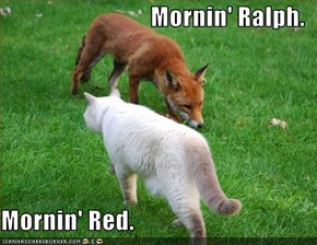 Mornin' Ralph.  Mornin' Red.