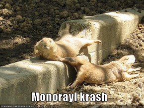 Monorayl krash