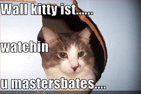 Wall kitty ist...... watchin u mastersbates....