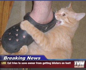 Breaking News - Cat tries to save owner from getting blisters on feet!