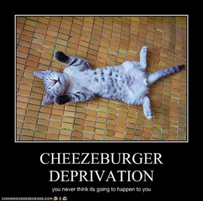 CHEEZEBURGER DEPRIVATION