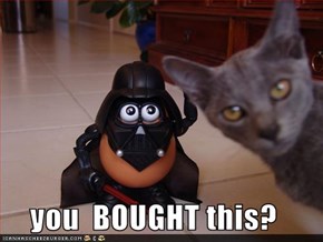 you  BOUGHT this?