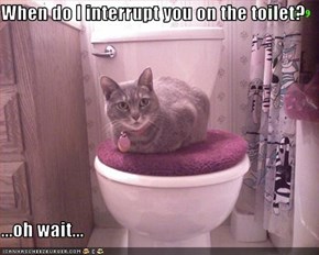 When do I interrupt you on the toilet?  ...oh wait...