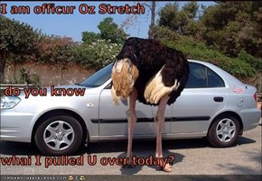 I am officur Oz Stretch   do you know whai I pulled U over today?