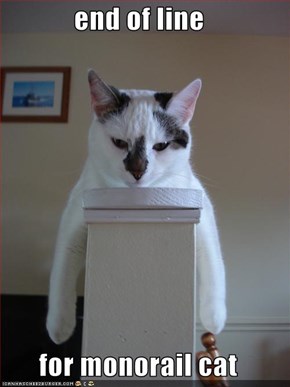 end of line  for monorail cat