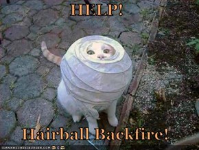 HELP!        Hairball Backfire!
