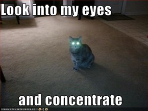 Look into my eyes  and concentrate