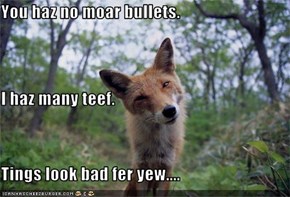 You haz no moar bullets. I haz many teef. Tings look bad fer yew....
