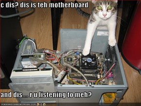 c dis? dis is teh motherboard  and dis.... r u listening to meh?