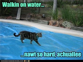 Walkin on water...