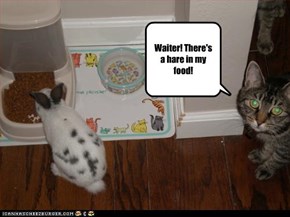 Waiter! There's a hare in my food!