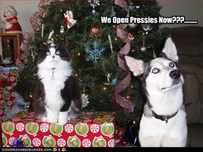 We Open Pressies Now???.........