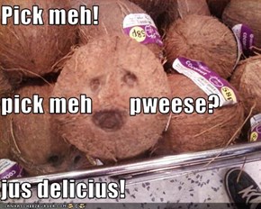 Pick meh! pick meh        pweese? jus delicius!