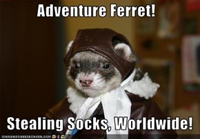 Adventure Ferret!     Stealing Socks, Worldwide!
