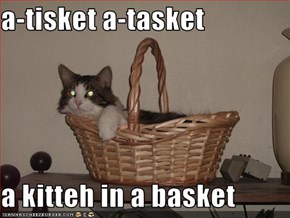 a-tisket a-tasket  a kitteh in a basket
