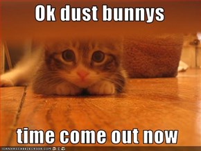 Ok dust bunnys   time come out now