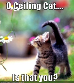 O Ceiling Cat....  Is that you?