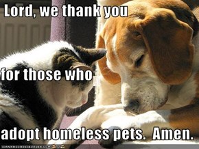 Lord, we thank you for those who  adopt homeless pets.  Amen.
