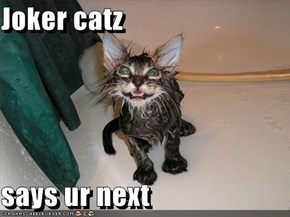Joker catz  says ur next