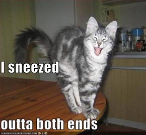 I sneezed outta both ends